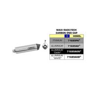 Silencieux ARROW Slip-On Maxi Race-Tech Titane Pour BMW 1200 R GS 2004-2005