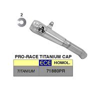 Silencieux ARROW Slip-On Pro-Race Titane pour Ducati 955 Panigale 959 2016-2019