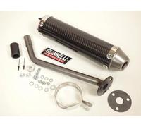 Silencieux d échappement GIANNELLI compatible avec Moto Beta 50 RR motard Standard 2012 à 2014