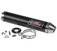 Silencieux Giannelli Aprilia 125 RS (carbone)