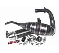 Silencieux Giannelli Enduro Carbone pour Derbi DRD PRO 50 06- (E)