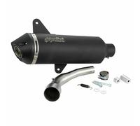 Silencieux POLINI Homologué PIAGGIO 300 Pour Vespa GTV 2017-2020