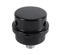 Silencieux pour compresseur d'air, raccord fileté de 3/8 pouce Silencieux pour filtre de compresseur d'air (3/8"16MM), noir