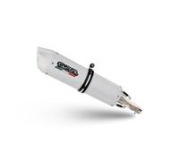 Silencieux Slip-On GPR Albus Céramique Pour Suzuki 650 DR SE 2012-2025