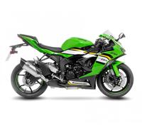 Silencieux slip-on LeoVince LV14 R TITAN Homo E4 KAWASAKI ZX-6R NINJA 2019 2020