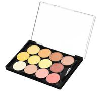 SILENRADAWN Palette de Fards à Paupières Magnétique Vide avec 12 Compartiments en Fer Plateau Noir 2046 Pinceau Inclus Couvercle Transparent Compacte et Légère pour Organisation