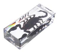 SILENRADAWN Spécimen Pédagogique en Résine Acrylique Transparente Scorpion Conservé, Presse-papiers Collection D’insectes pour Bureau à Domicile, Décoration Éducative Scientifique Réaliste