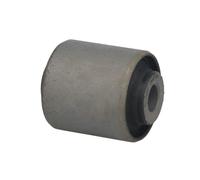 Silent bloc de suspension DELPHI TD1004W