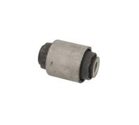 Silent bloc de suspension DELPHI TD1655W