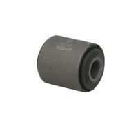 Silent bloc de suspension DELPHI TD231W