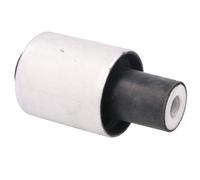 Silent bloc de suspension DELPHI TD704W