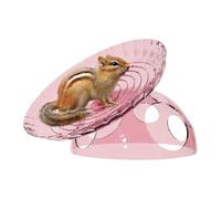 Silent Hamster Wheel, Hamster Running Spinner Saucer with Shelter | Quiet Exercise Wheel for Dwarf Hamster Chipmunk Hedgehog Gerbil Chinchilla Guinea Pig