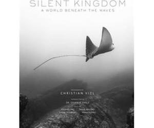 Silent Kingdom by Christian Vizl Unknown (Auteur)