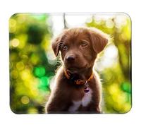 Silent Monsters Tapis de Souris L 36 x 25 cm, Mouse Pad, Motif Petit Chiot Chien, Tapis de Souris en Tissu, antidérapant, Silencieux, Le Jeu vidéo, Bureau, Home Office, Lavable, Enroulable, Cousu