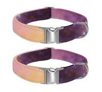 Silent Pumice Fields Collier réglable en nylon pour chien de taille moyenne et grande