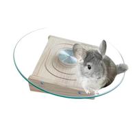 Silent Small Wheel, Guinea Pig Spinner, Cage Workout Wheels, Sturdy Pet Spinners, 11.42x2.36 inches, This Exercise Wheel is Designed for Long Lasting Durability