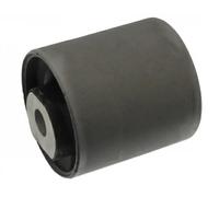 SWAG 44 10 0354 Silent bloc de triangle
