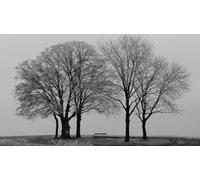 Silhouette d'arbre Mort Noir et Blanc - Puzzle Papier 1000 pièces - Jeu Amusant 26 x 38 cm