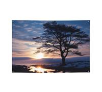 Silhouette de branche d'arbre au crépuscule - Bannière de décoration de fête d'anniversaire - Photographie - Bannières et panneaux - Décoration murale - Bannière de fête - 180 x 119 cm