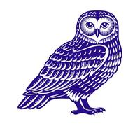 silhouette de hibou avec détails de plumes textu Stickers muraux 67.2x67.2cm Décoration de magasin Bleu foncé