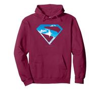 Silhouette emblématique de Superman dans Le Ciel Sweat à Capuche, Unisexe pour Adultes, Marron, S