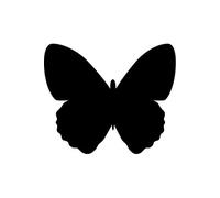 Silhouette papillon ardoise - Feutre-craie inclus et kit velcro pour accrochage mural - 30x50cm