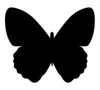 Securit Ardoise murale Silhouette Papillon - Feutre-craie inclus et kit velcro - 30x50 cm