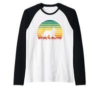 Silhouette rétro Sunset Collie - Chien à Poil Long Vintage Manche Raglan