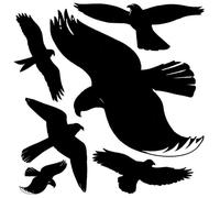 Silhouettes de rapaces - AVERY ZWECKFORM - Autocollants noirs - 1 planche de 6 pièces