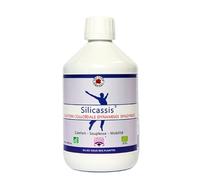 SILICASSIS BIO Slilicium organique 500 ml Solution colloïdale dynamisée et spagyrisée Vecteur Energy