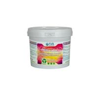 Silicate 5 litres - Terra Aquatica