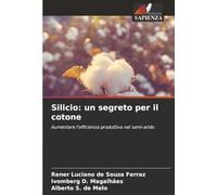Silicio: un segreto per il cotone: Aumentare l'efficienza produttiva nel semi-arido