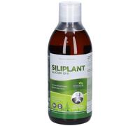 SILICIUM LABORATORIES Siliplant Silicium G7 Fluide 500 ml