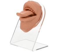Silicone Modèle de Bouche et Langue pour Entraînement Piercing | Anatomie Réaliste Taille Réelle, avec Support, Couleur Café, pour Bijoux de Langue et Aiguilles
