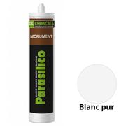 Silicone Parasilico Monument DL Chemicals - Blanc pur RAL 9010