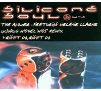 Silicone Soul - Answer