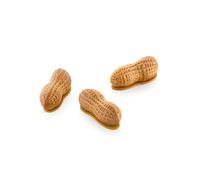silikomart Moule en silicone acachide 30 accessoires professionnels pour cuisine et pâtisserie avec cutter ABS, 12 cavités de 30 ml