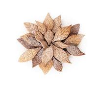 Silikomart | Voilà Cookie, Dimensions 240 x 150 mm h 20 mm | Moule à Biscuits "Leaves" en Forme de Feuilles