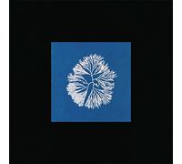 Silk Noise Reflex [+1 Bonus] [Import allemand]