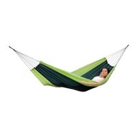 Silk traveller forest