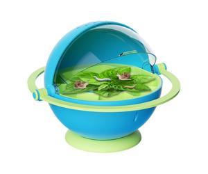 Silkworm Breeding Box - Silkworm Hatching Container | Transparent Rearing Habitat, Educational Observation Cage Kit, Portable Growth Chamber, Classroom Science Learning Terrarium, Student Silkw