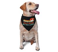 Silly Goose on The Loose Spring Dog Bandanas Boy Bulk Puppy Foulard Réglable Doux Triangle Bavoirs Accessoires pour Petits Moyens Grands Chiens Chats, Blanc
