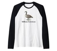 Silly Oie Faux nom latin drôle animal jeu de mots art vintage Manche Raglan