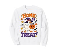 Silly Spooky Goose Witch Halloween Pumpkin Sweatshirt