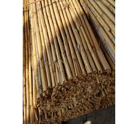 SILVACANE-Canisse de roseau entier Silvacane - 5 m x H 150 cm