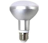 Silver 998017 Ampoule LED Réflecteur, R-80, 10 W, E27, cri80, blanc froid