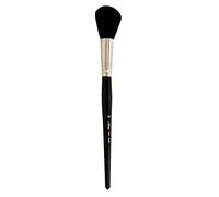 Silver Brush Argent Brosse Series 5618s-20 Argenté Balai Brosse Ronde à Manche Court, Poils de chèvre, Noir