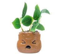 Silver Buffalo Harry Potter Mandrake Face 6 Pouces Ceramic Planter with Faux Plant