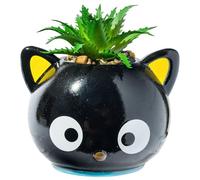 Silver Buffalo Mini Pot de Fleurs en céramique, Noir/Multicolore