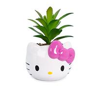 Silver Buffalo Sanrio Hello Kitty Face Mini pot de fleurs en céramique avec plantes succulentes artificielles 7,6 cm